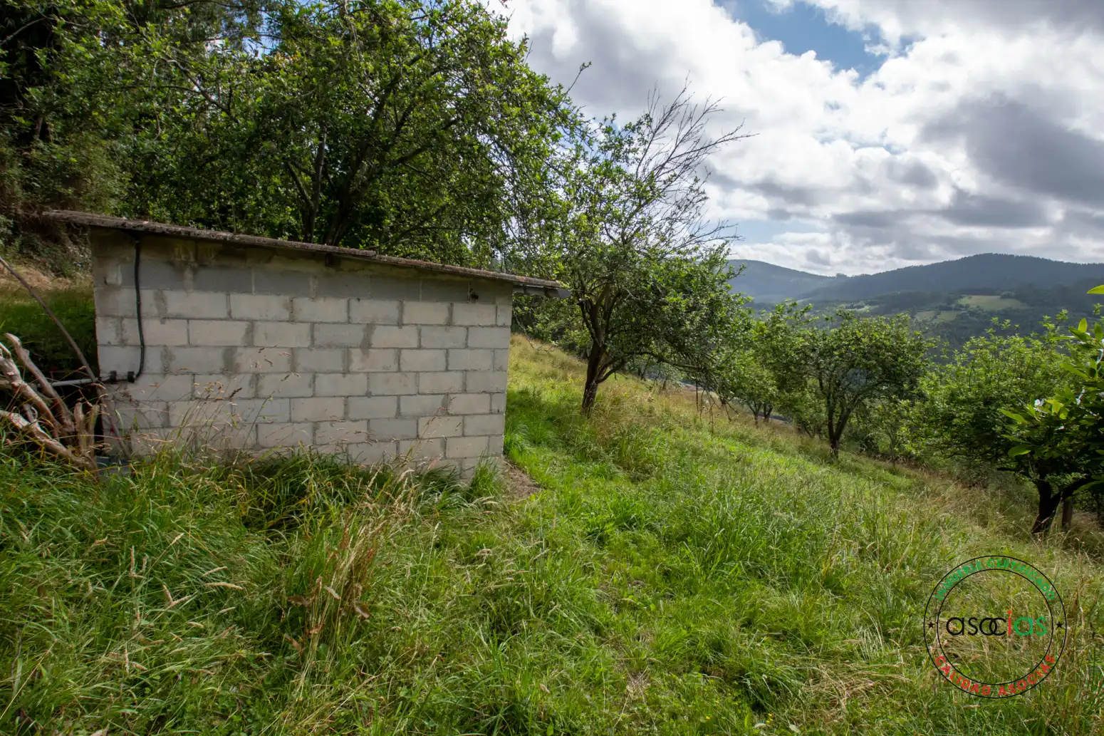 Casa o xalet en venda en Villaviciosa amb Jardí privat i Traster