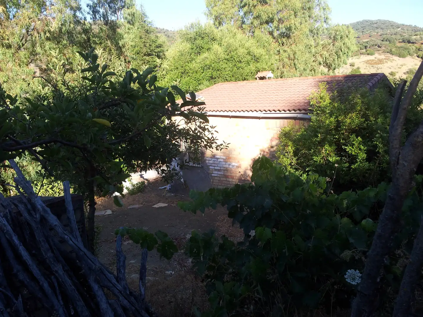 Jardín de Finca rústica en venta en Ubrique