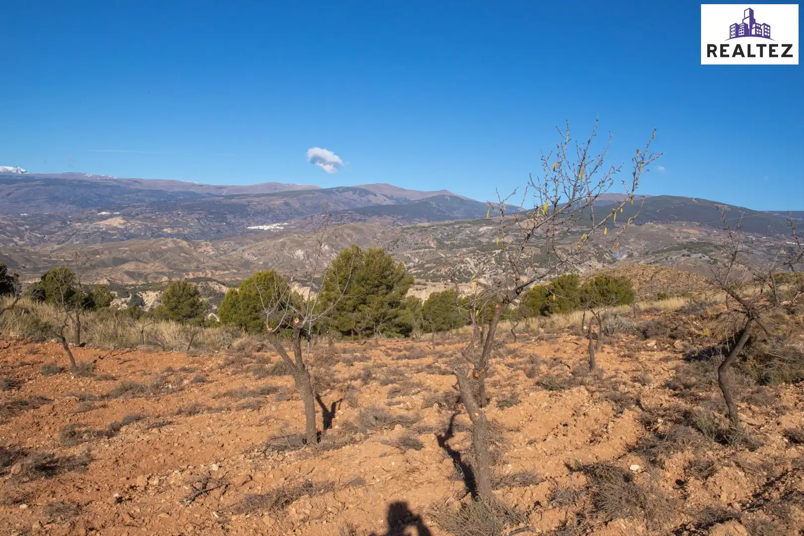 Terrain rustique à vendre à Alcolea, imagen 5