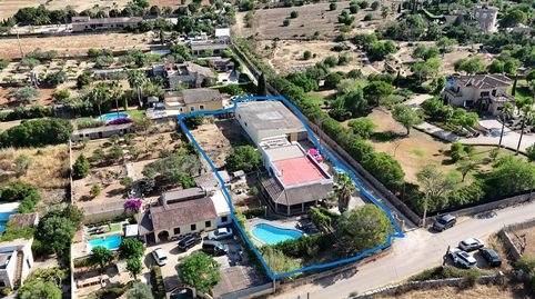 SE VENDE FINCA CON AMPLIO TALLER EN LA ZONA DE LLUCMAJOR  MALLORCA
