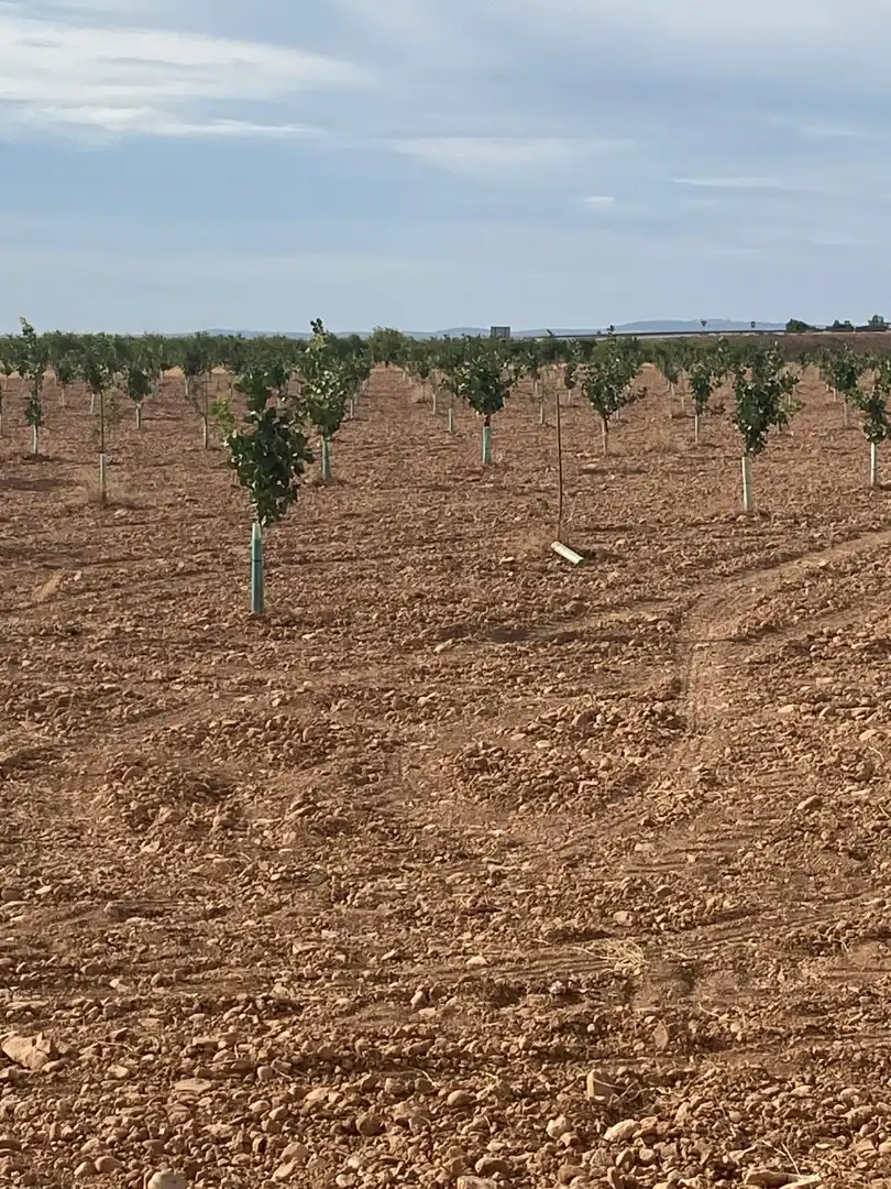 Terreno rustico in vendita a Calle García Pavón, imagen 17