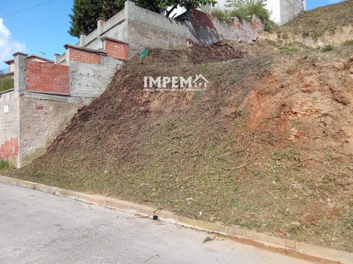Rural land for sale in Francesc Macià, imagen 7
