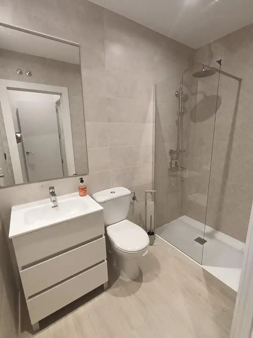 Apartments for rent in Calle FRAY LUIS DE LEON, Centro