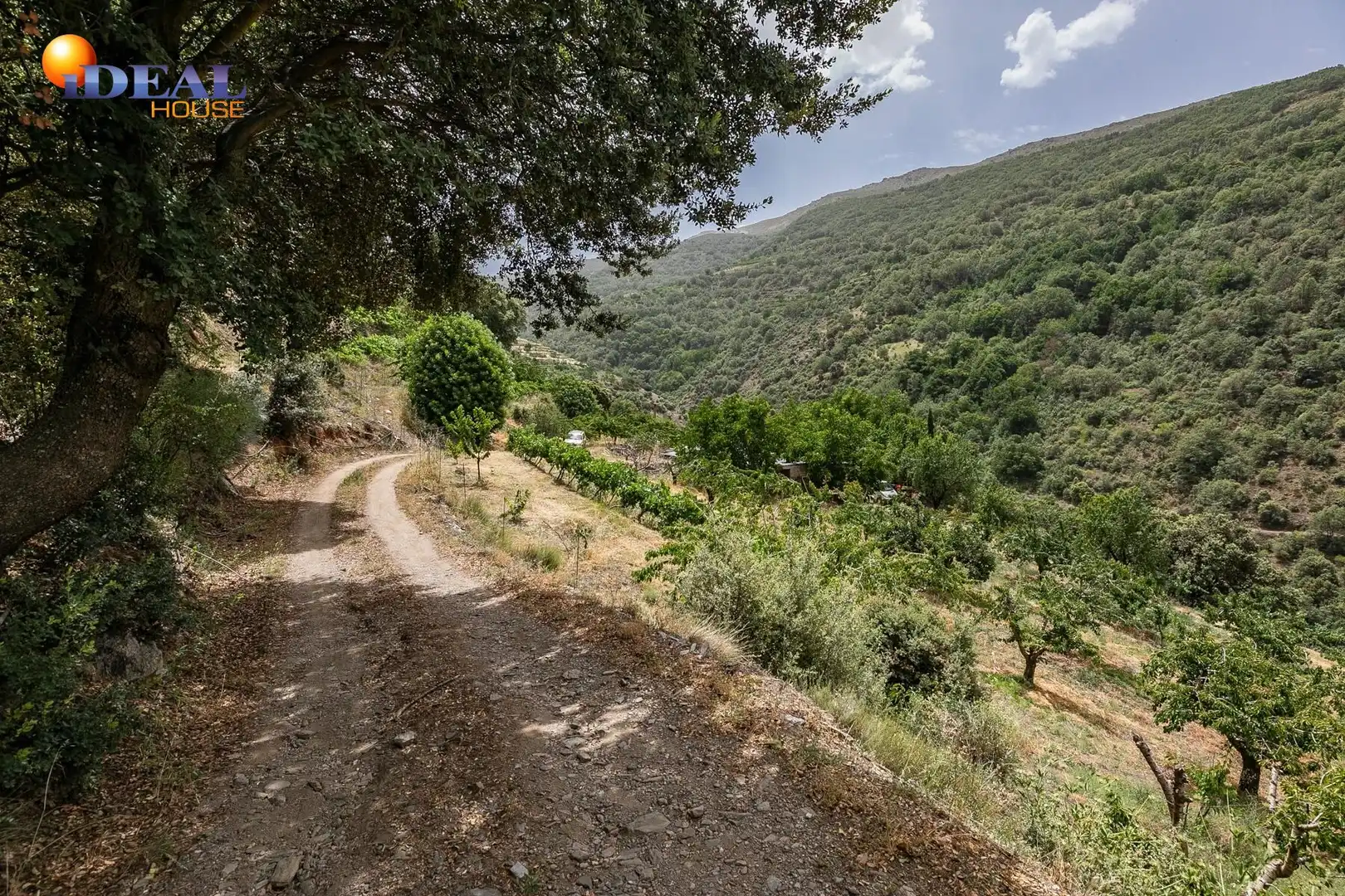 Terreni e lotti in vendita a Majadillas, imagen 43