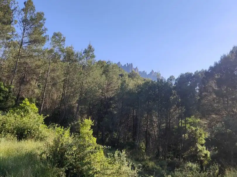 Residencial en venta en Castellbell i el Vilar