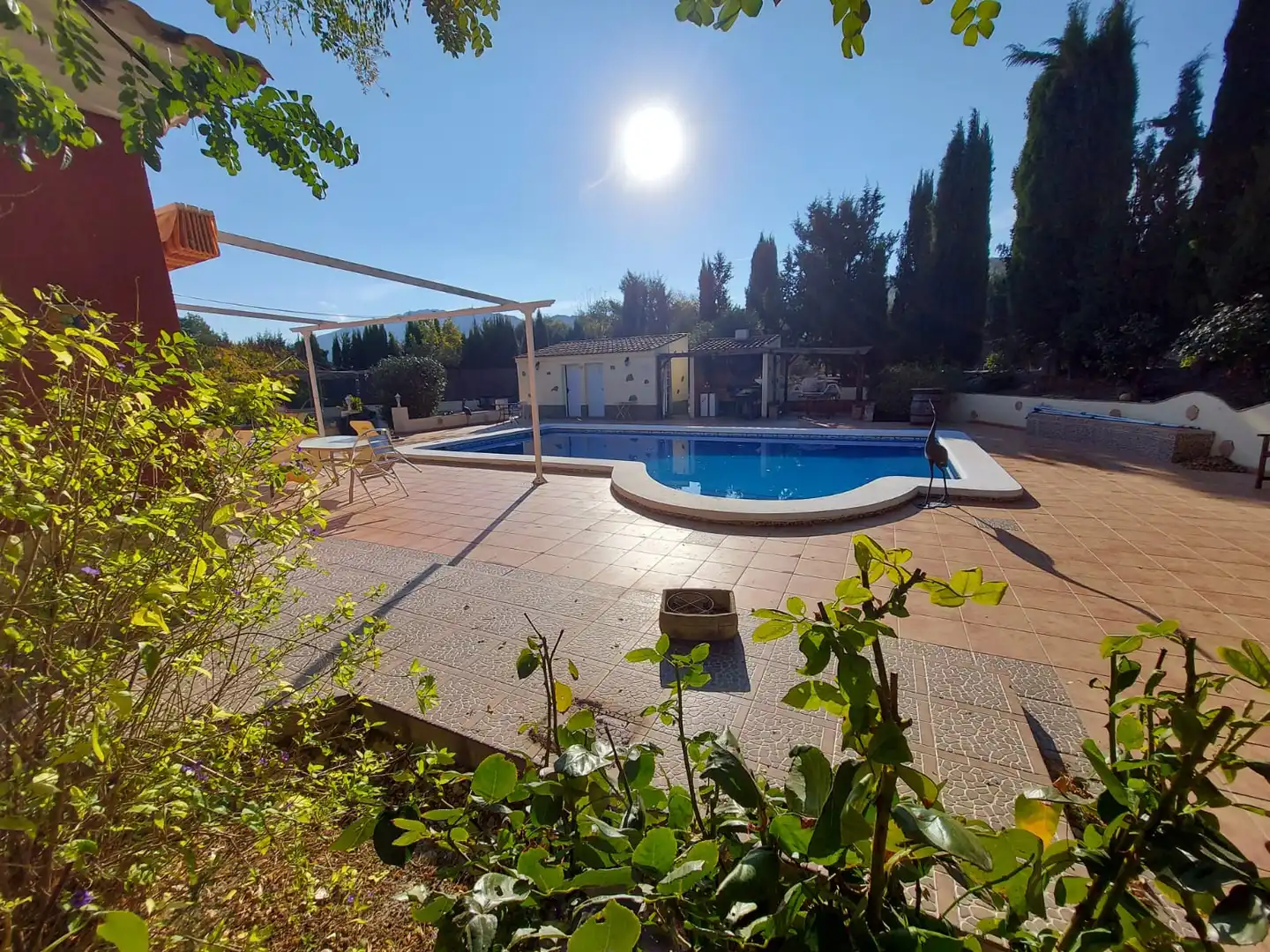 Maison rustique avec piscine à vendre à Calasparra, imagen 9