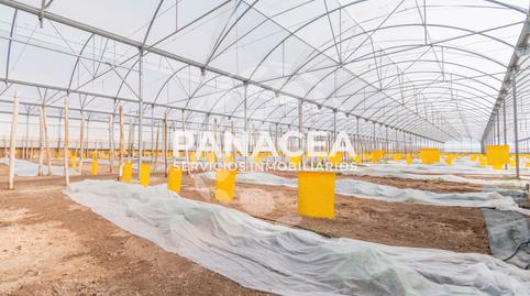 Photo 2 of Land for sale in Puebla de Vícar, Almería