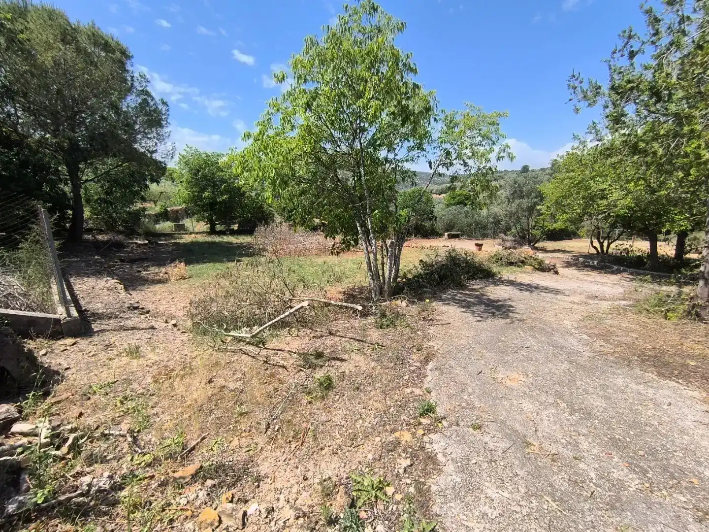 Finca rústica en venda en Freginals amb Piscina