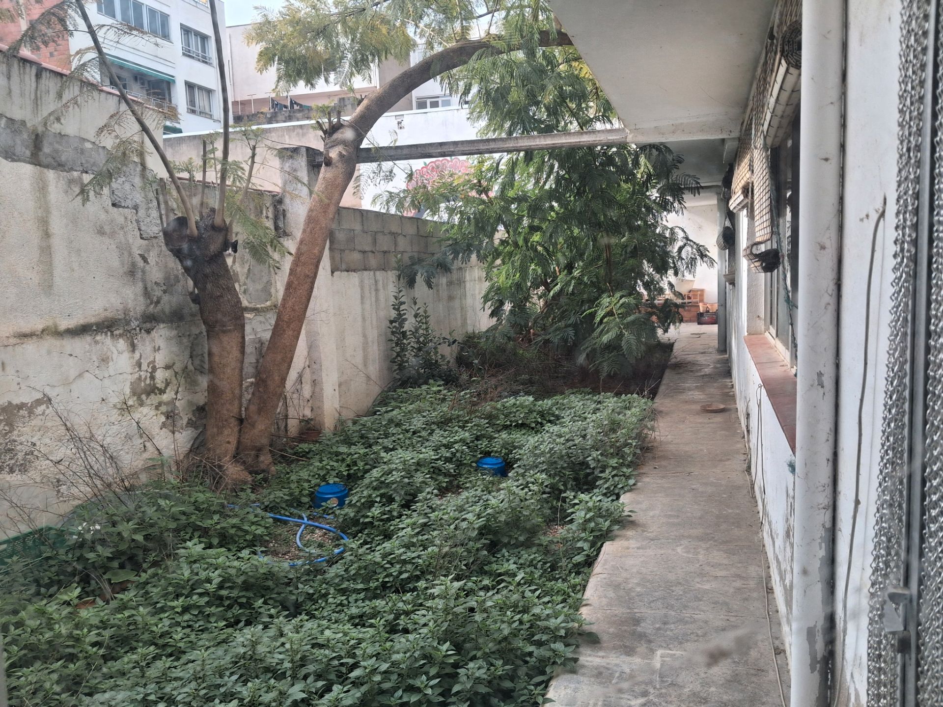 Jardín de Planta baja en venta en Benicarló