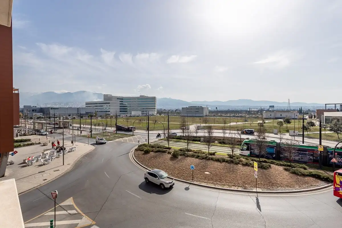 Flat for rent in Avenida DE LA ILUSTRACION, Campus de la Salud