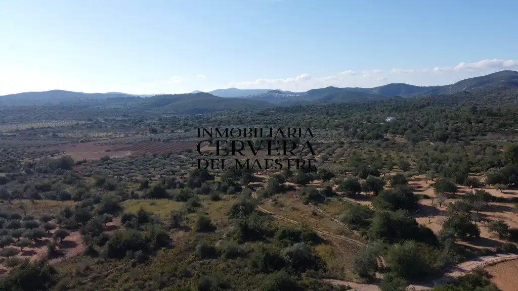 Terreno rustico in vendita a Cervera del Maestre, imagen 27