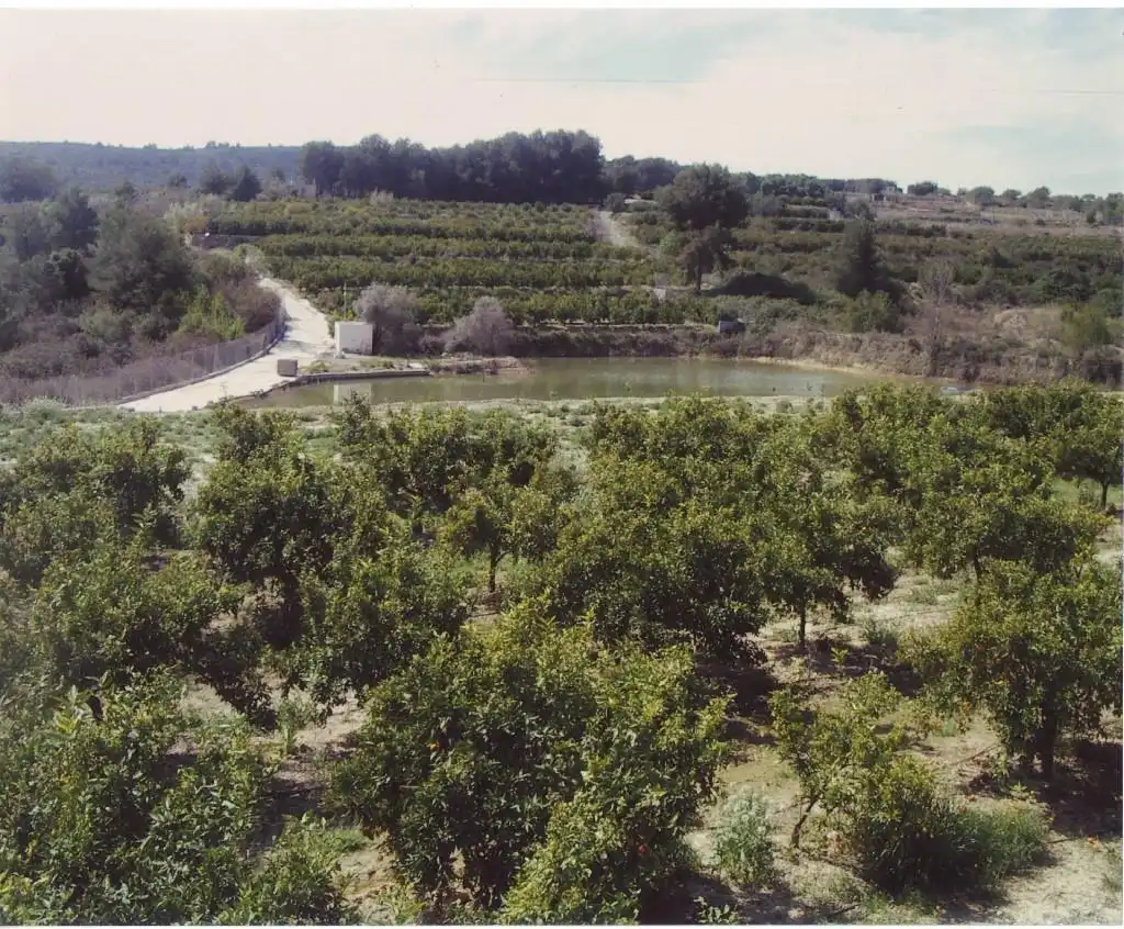 Maison rustique à vendre à L'Alcora, imagen 2
