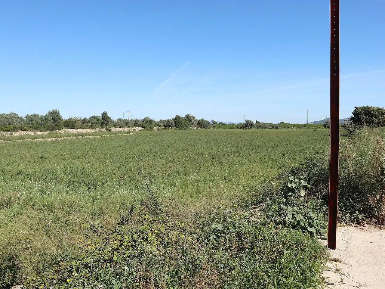 Industriegebäude zum Verkauf in Ulldecona, imagen 49