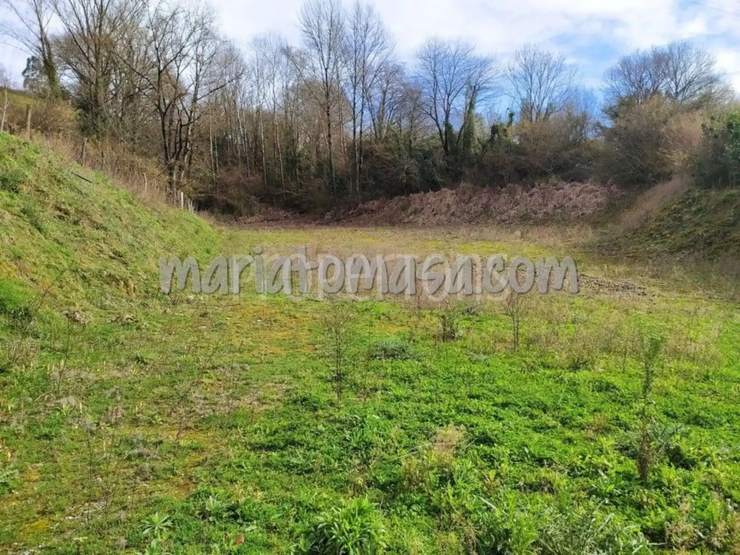 Country homes for sale in Rasines