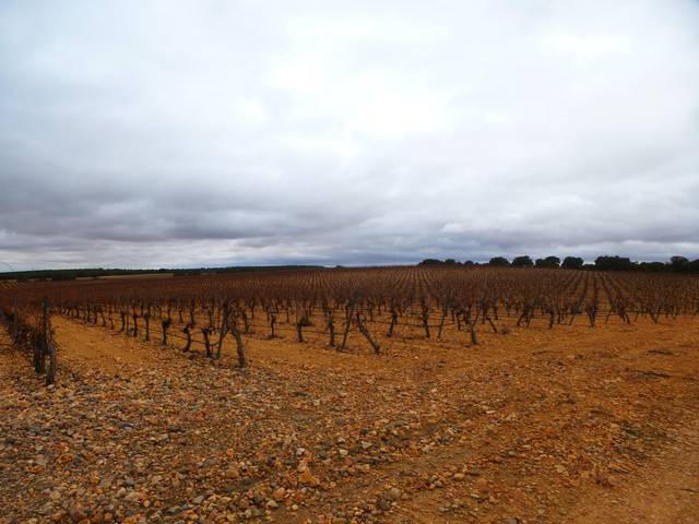 Terreno en Venta en Calle de la Oliva, 62 en Quintanar de la Orden