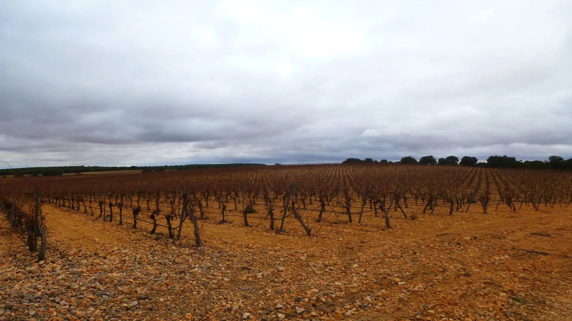 Exterior view of Land for sale in Quintanar de la Orden