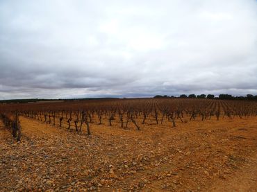 Terreno rustico in vendita a Calle de la Oliva 62