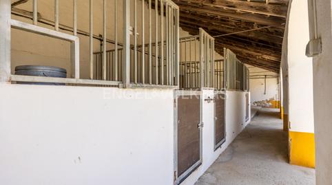 Photo 3 of House or chalet for sale in Osuna, Sevilla