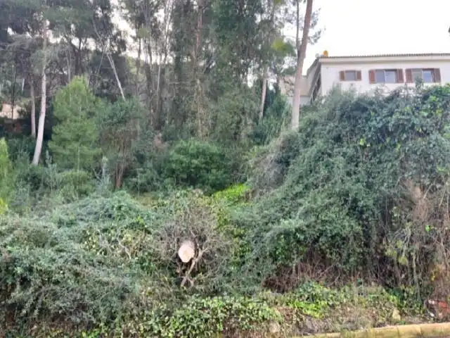 Wohnbaugrundstück zum Verkauf in Carretera Chiva-Buñol, imagen 4