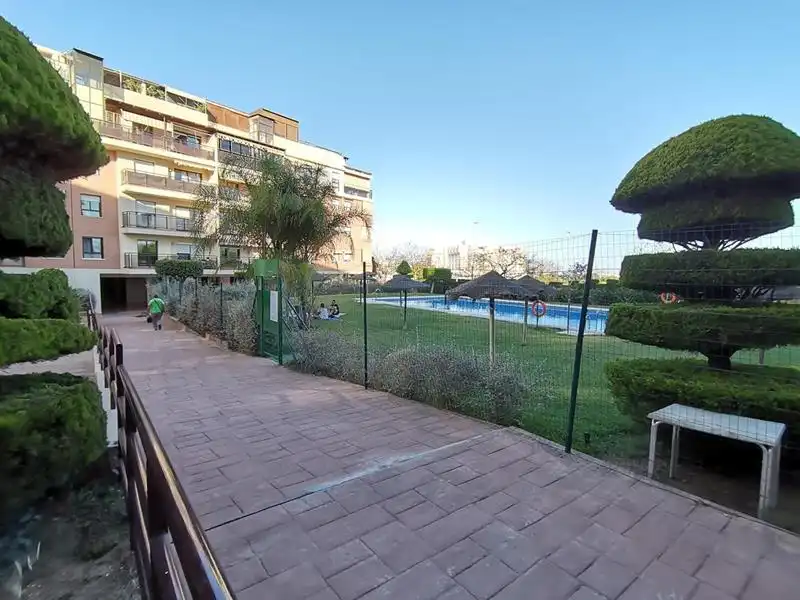 Vista exterior de Àtic de lloguer en Málaga amb Jardí privat, Terrassa i Moblat