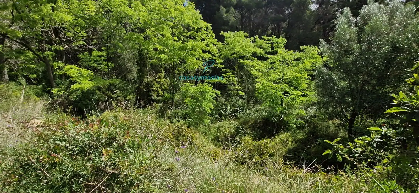 Finca rústica en venta en El Montmell con Jardín privado, Terraza y Balcón