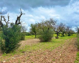 Country house for sale in ESTRELLA, Sencelles