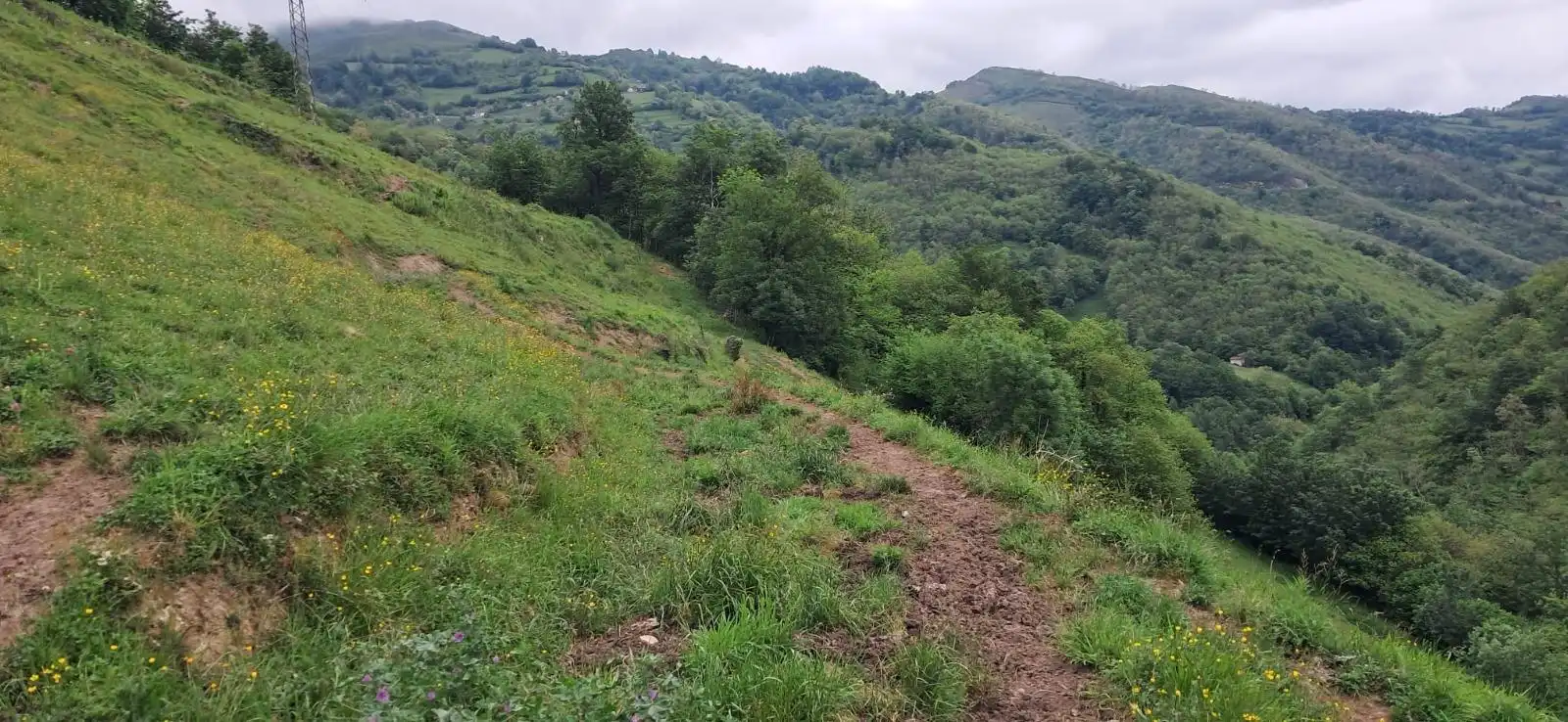 Lands and plots for sale in Lena, imagen 14