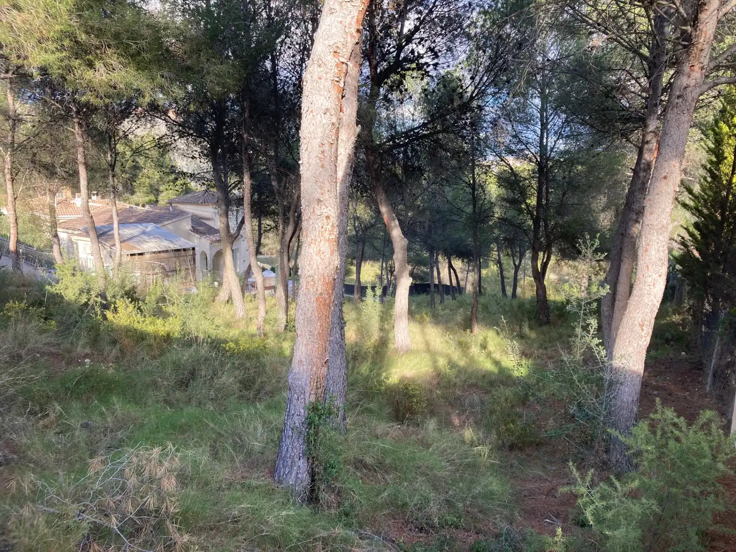 Terreny residencial en venda a Urbanización Pinares del Mecli Izqd, imagen 4