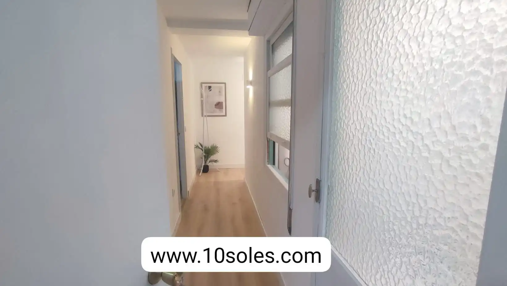 Apartments for rent in Orihuela ciudad