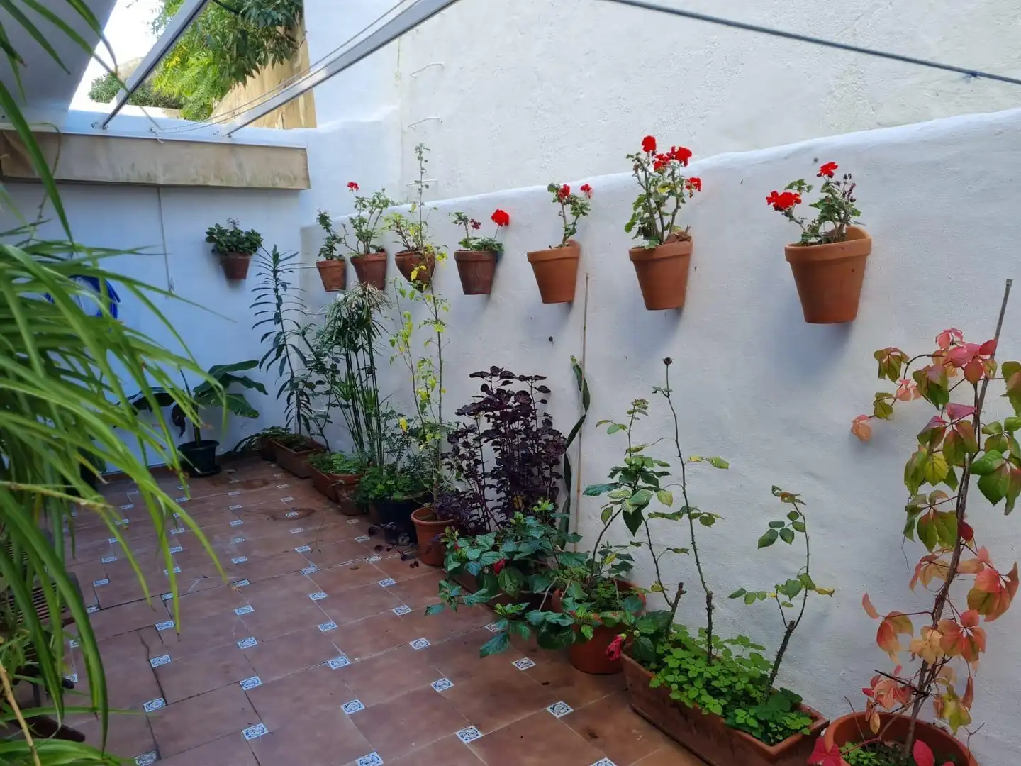 Pis amb terrassa en venda a Vejer, imagen 4