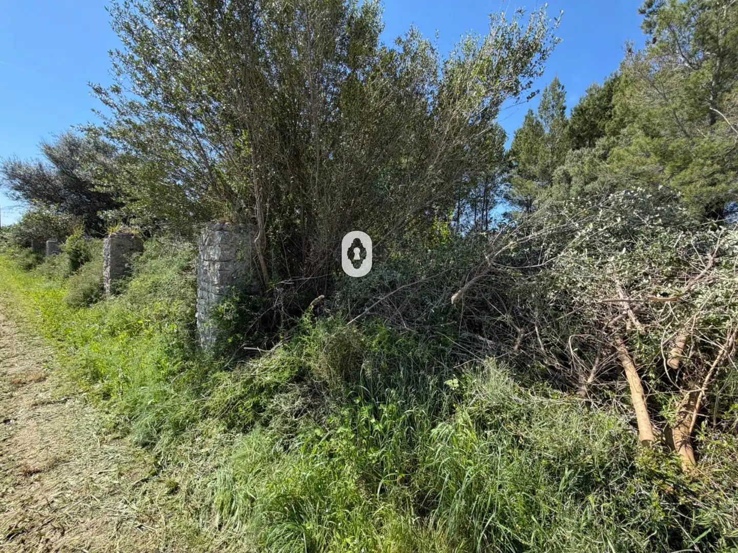 Finca rústica en venta en Binissalem