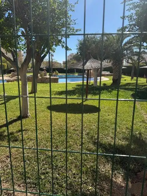 Garden of Flat for rent in El Campello  with Air Conditioner, Terrace and Furnished