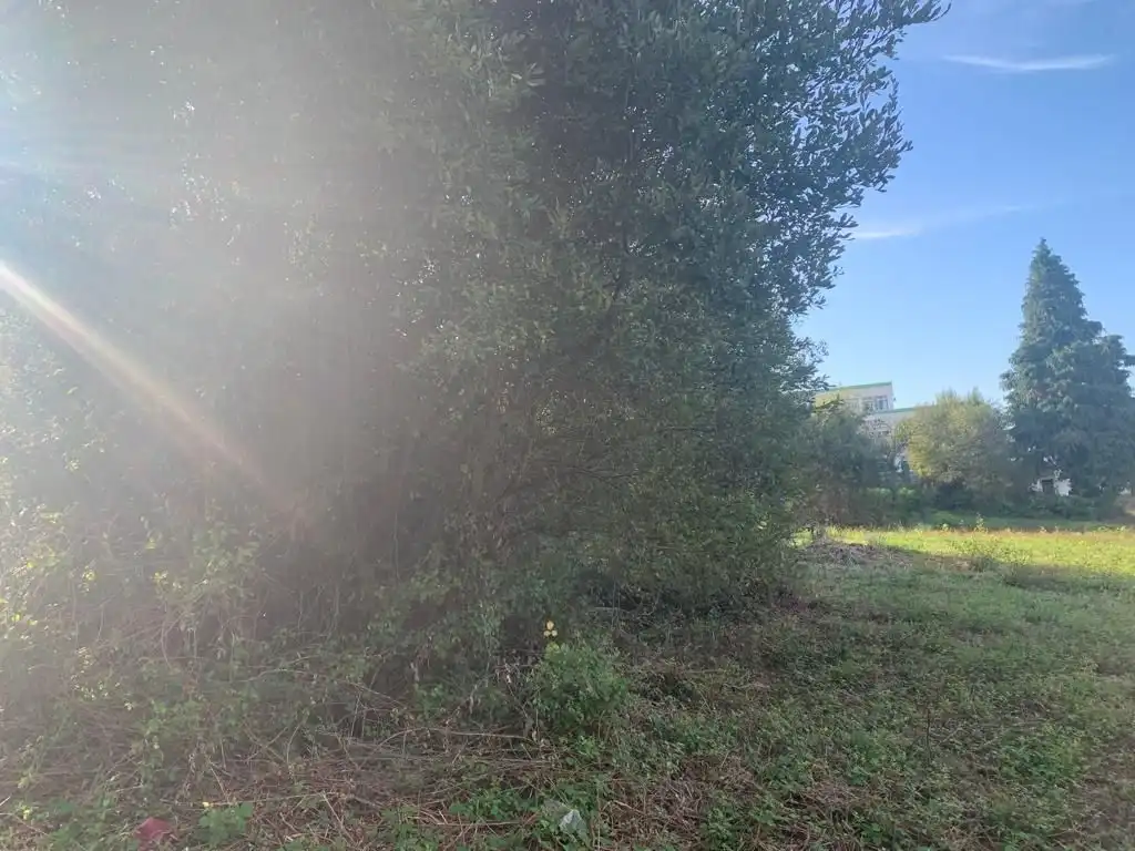 Terreno residenziale in vendita a Coto Núcleo, imagen 6