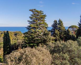 Land for sale in Begur