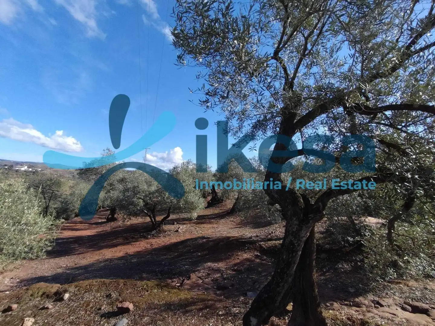 Rustikales Grundstück zum Verkauf in Montoro, imagen 10