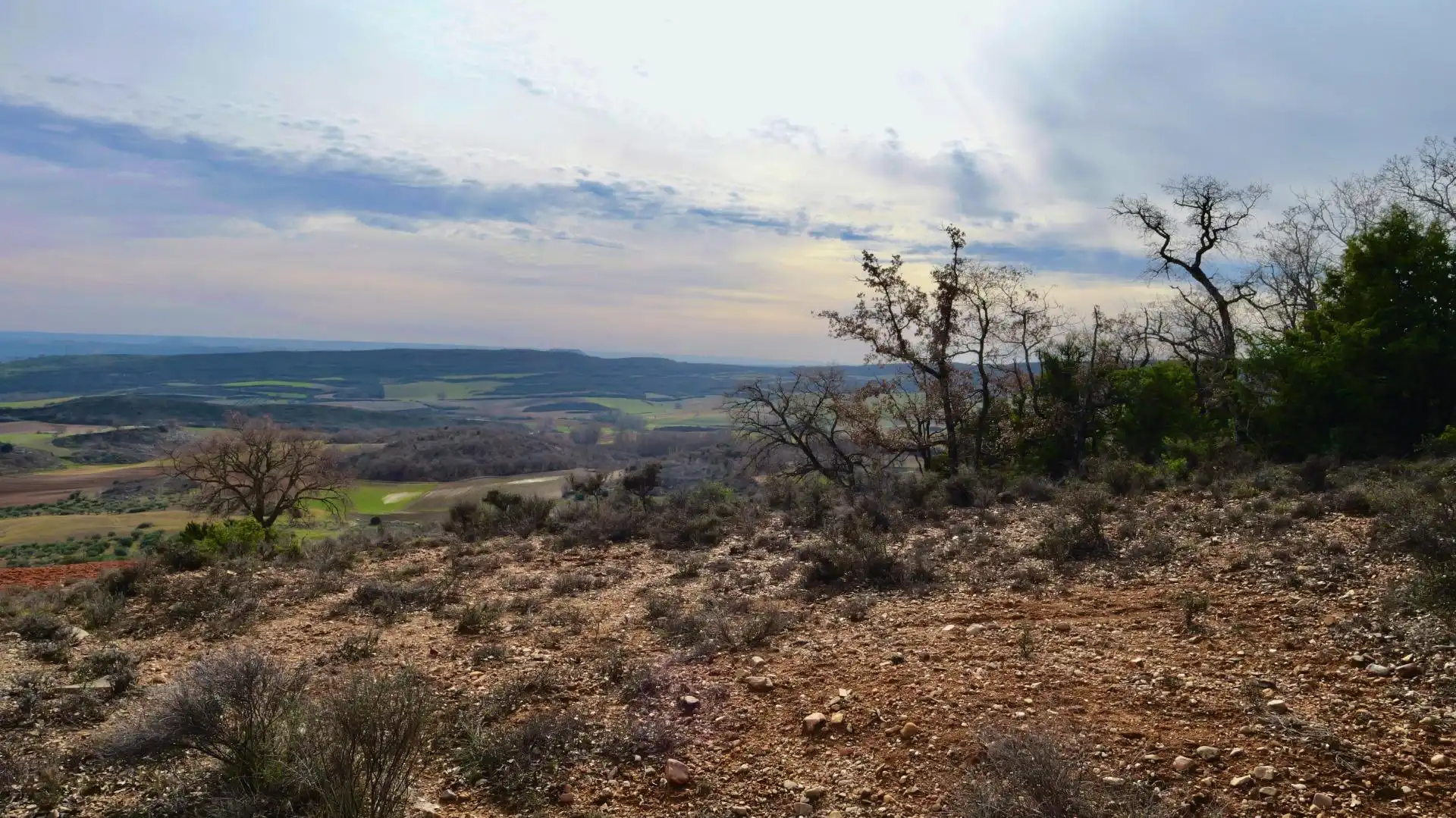Land for sale in Arbancón
