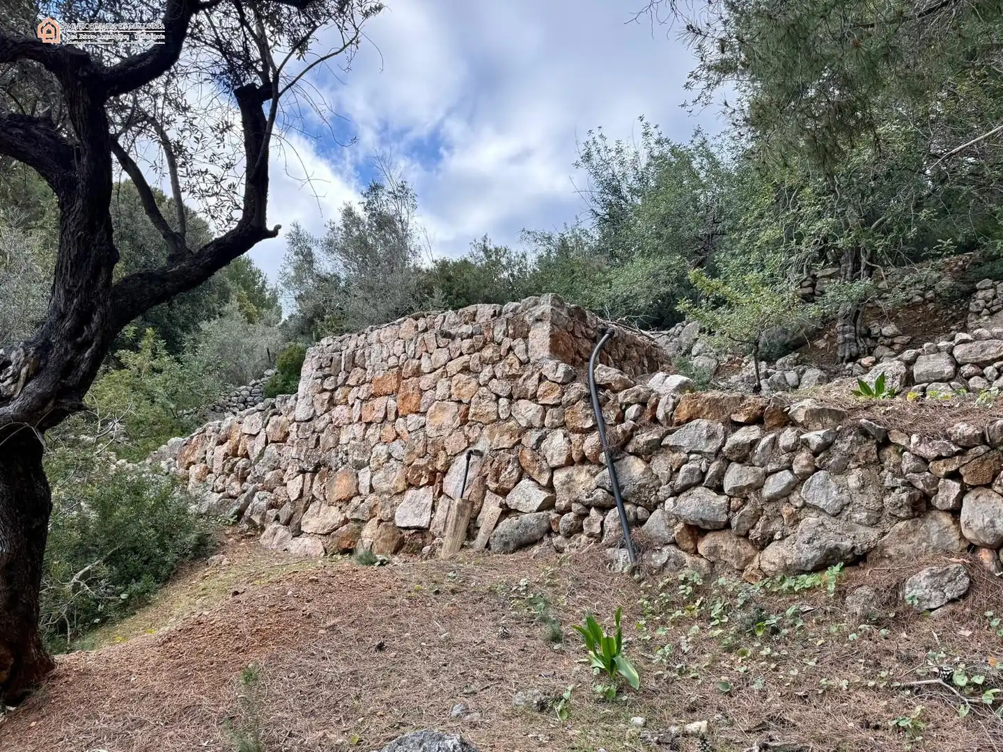 Casa rústica en venta en Camino Fornalutx 1, imagen 8