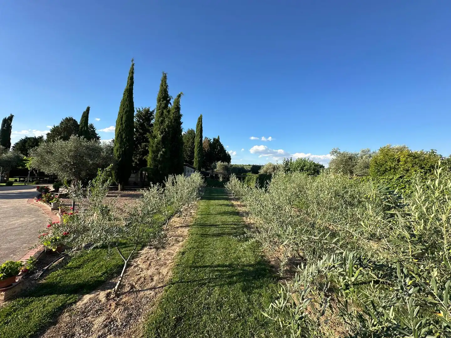 Jardín de Casa o chalet en venta en Montearagón con Aire acondicionado, Calefacción y Jardín privado