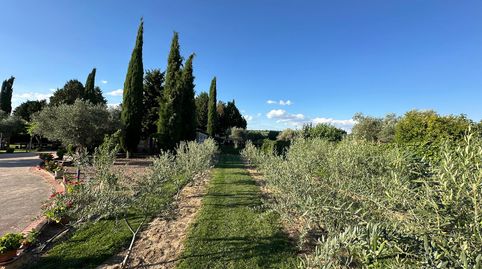Foto 5 de Casa o chalet en venta en Montearagón, Toledo