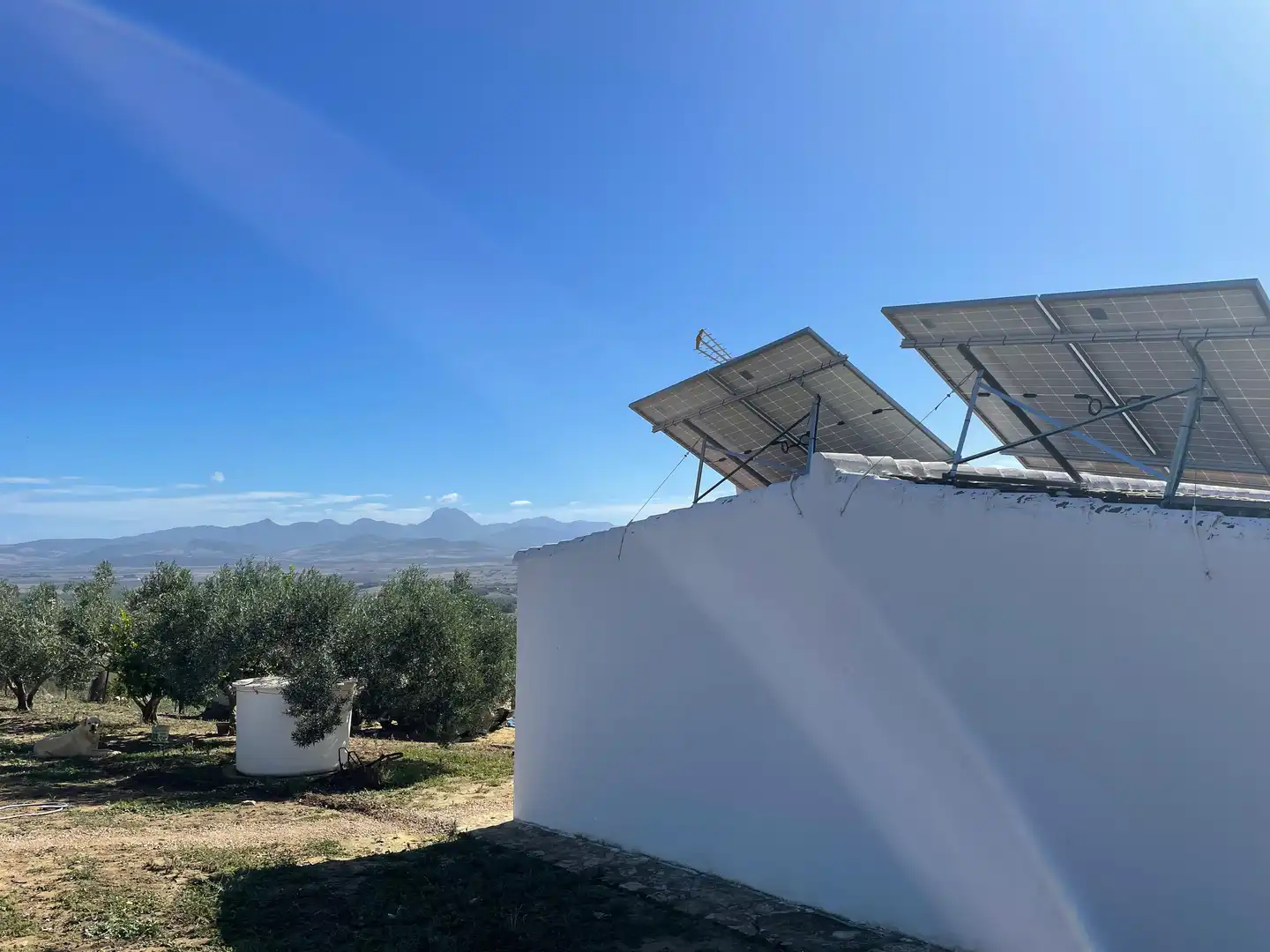 Terreno rustico in vendita a Arcos de la Frontera, imagen 3