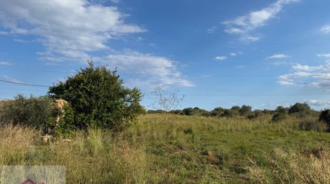 Foto 4 de Terreno en venta en Partida Poligono N 07, S-n, Torreblanca, Castellón