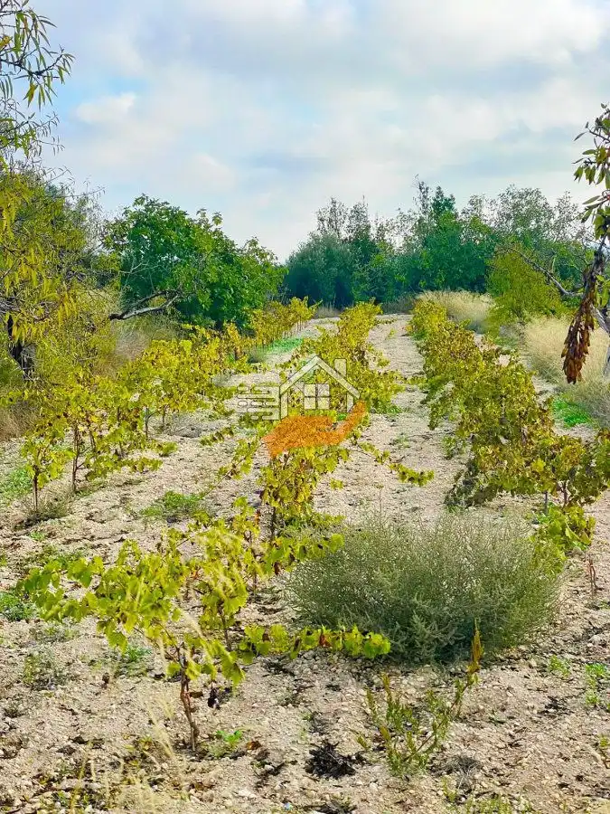 Country homes for sale in Vélez-Rubio