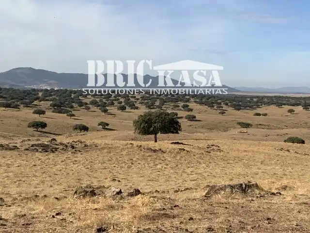 Grundstücke und Bauplätze zum Verkauf in Arroyo de la Luz, imagen 14