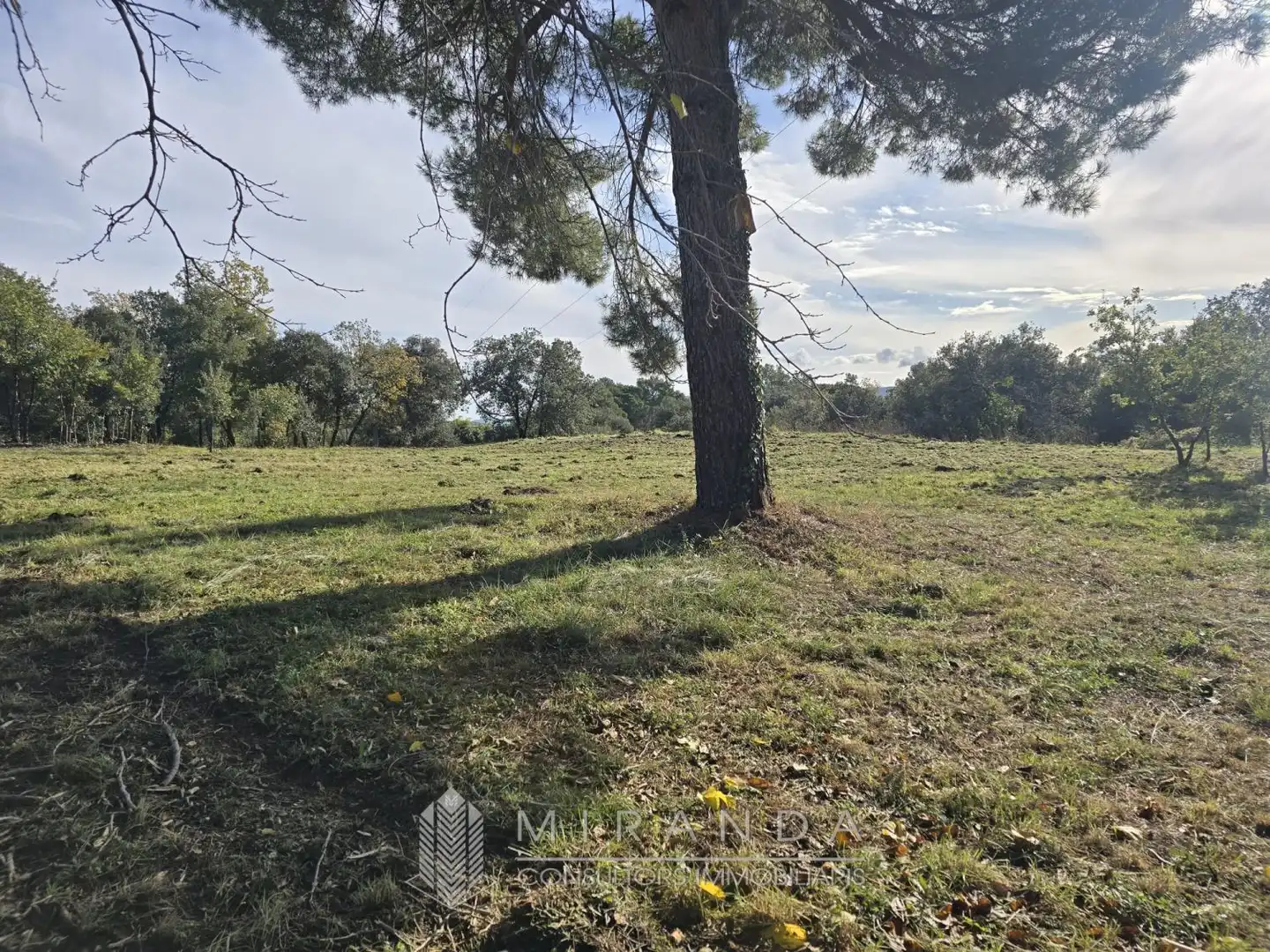 Residential land for sale in Sant come, imagen 16