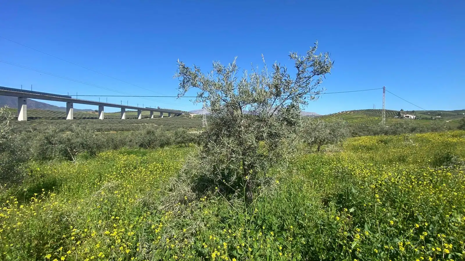 Terreni e lotti in vendita a Álora, imagen 3
