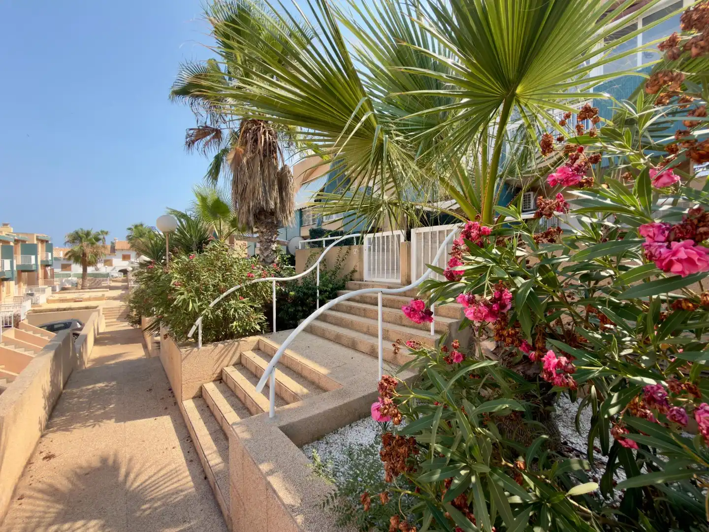 Vista exterior de Casa o chalet en venta en Torrevieja con Jardín privado, Amueblado y Piscina comunitaria