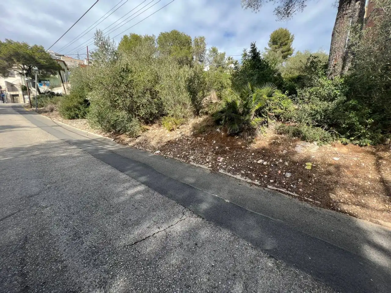 Rural land for sale in Calle ESPARRAGUERA 9, imagen 3