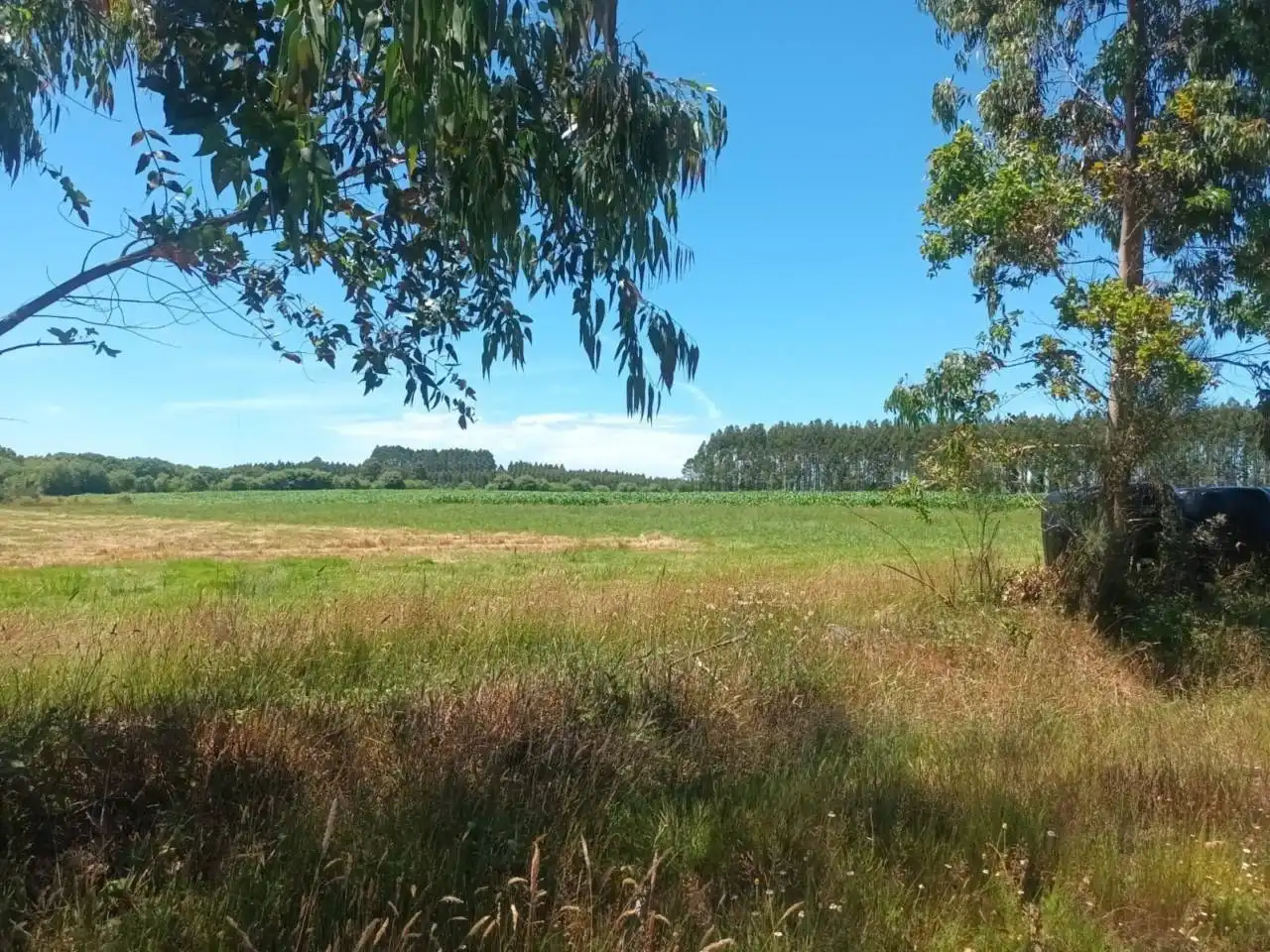 Terreno en venta en Oza dos Ríos