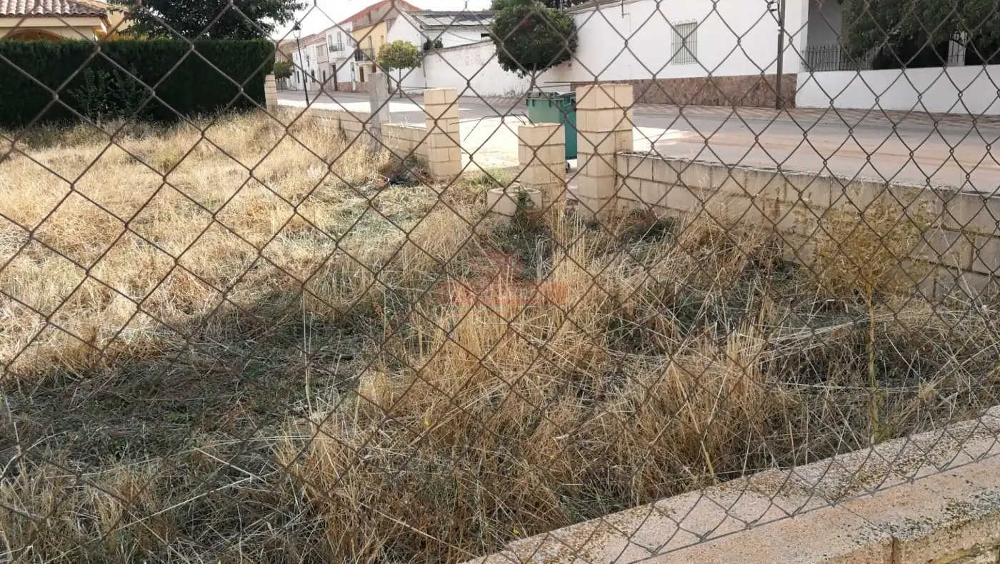 Lands and plots for sale in Chinchilla de Monte-Aragón, imagen 12