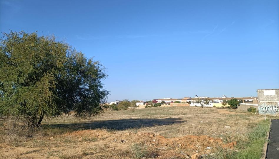 Photo 1 of Residential for sale in Oromana, Sevilla
